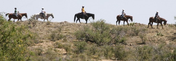 Riding the Ridge Line